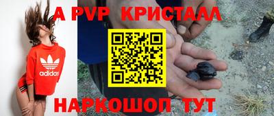 спиды Донской