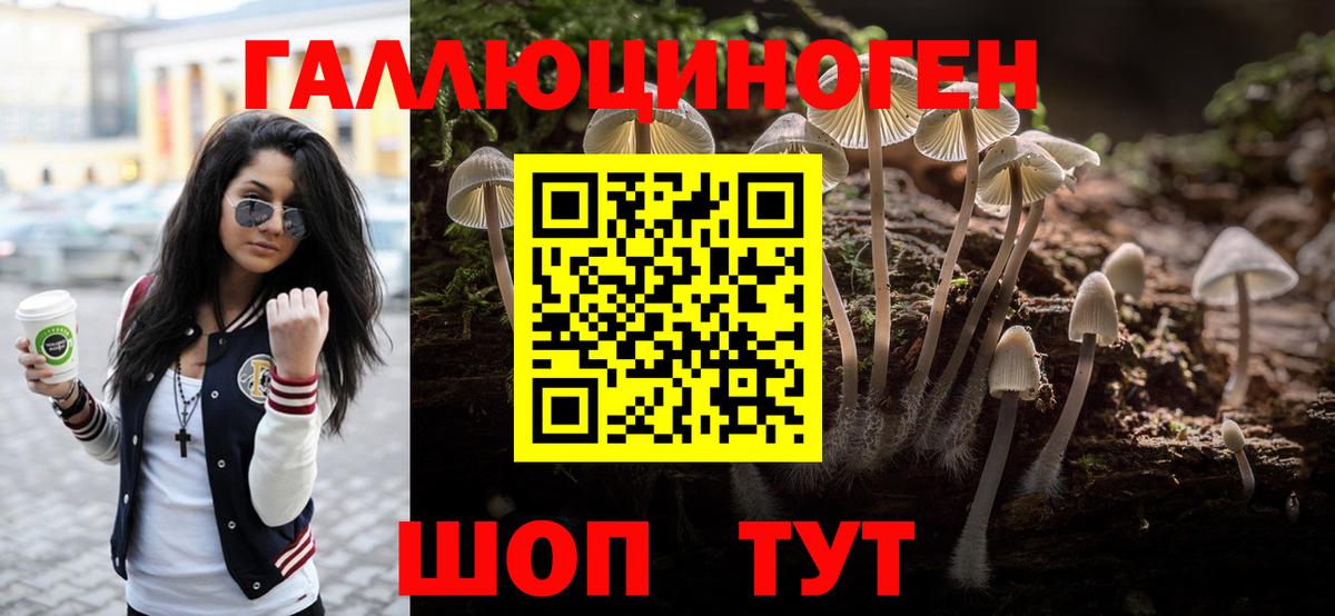 Галлюциногенные грибы прущие грибы Котовск